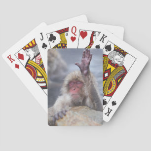Cutest Baby Animals   Snow Monkey Face Playing Cards