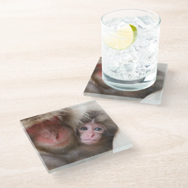 Cutest Baby Animals | Snow Monkey Glass Coaster (Angled)