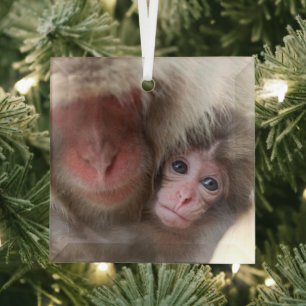 Cutest Baby Animals Snow Monkey Glass Tree Decoration