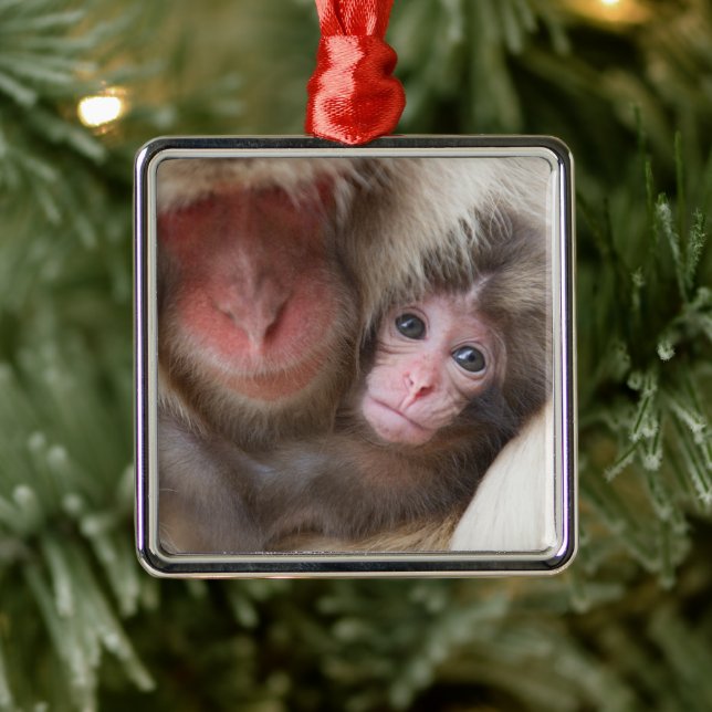 Cutest Baby Animals | Snow Monkey Metal Tree Decoration (Tree)