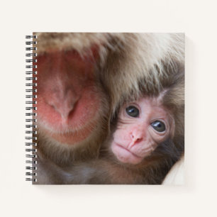 Cutest Baby Animals   Snow Monkey Notebook