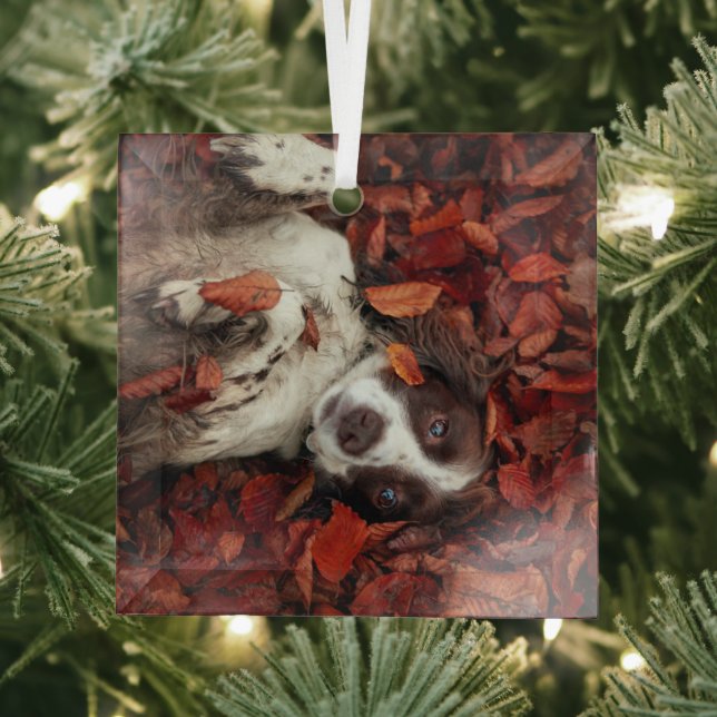Cutest Baby Animals | Spaniel in Autumn Leaves Glass Tree Decoration (Insitu)