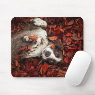Cutest Baby Animals Spaniel in Autumn Leaves Mouse Pad