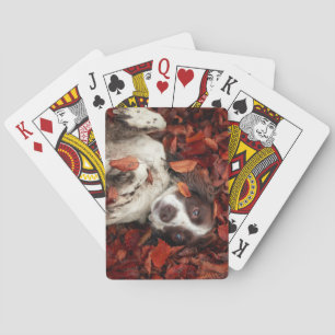 Cutest Baby Animals Spaniel in Autumn Leaves Playing Cards