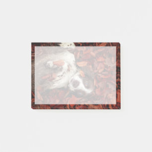 Cutest Baby Animals Spaniel in Autumn Leaves Post-it Notes