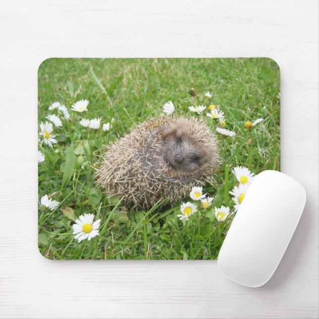Cutest Baby Animals | Spanish Hedgehog Mouse Pad (With Mouse)