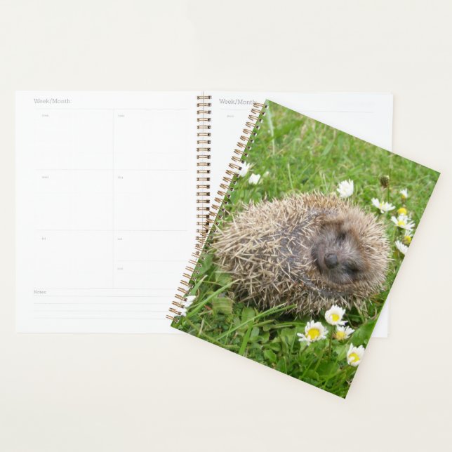 Cutest Baby Animals | Spanish Hedgehog Planner (Display)