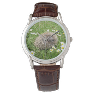 Cutest Baby Animals Spanish Hedgehog Watch