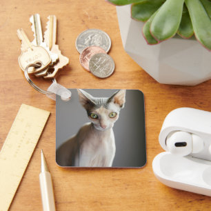 Cutest Baby Animals   Sphinx Cat Key Ring
