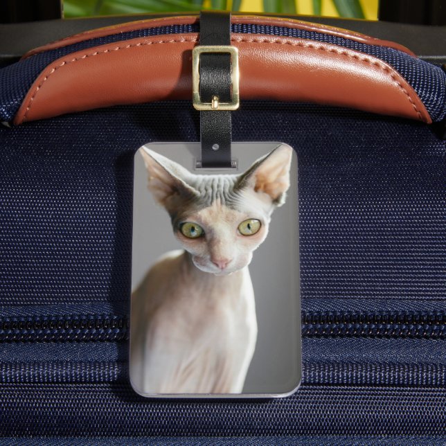 Cutest Baby Animals | Sphinx Cat Luggage Tag (Front Insitu 2)