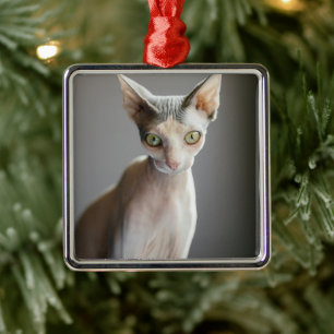 Cutest Baby Animals Sphinx Cat Metal Tree Decoration