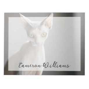 Cutest Baby Animals   Sphinx Cat Notepad