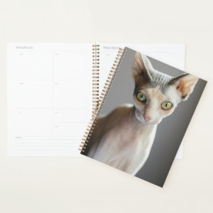 Cutest Baby Animals   Sphinx Cat Planner