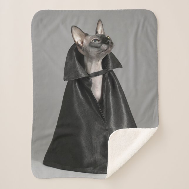 Cutest Baby Animals | Sphynx Hairless Cat Sherpa Blanket (Front)