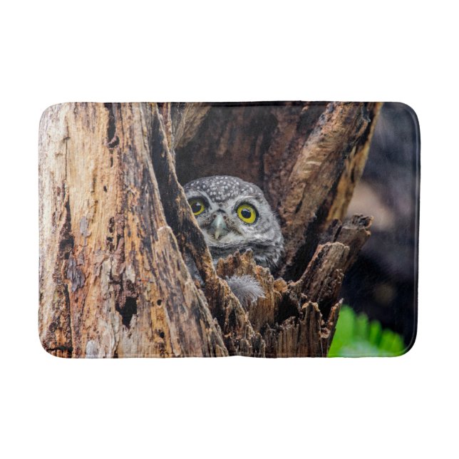 Cutest Baby Animals | Spotted Owlet Bath Mat (Front)