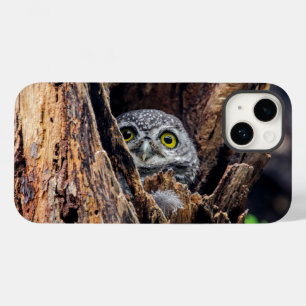 Cutest Baby Animals   Spotted Owlet Case-Mate iPhone 14 Case