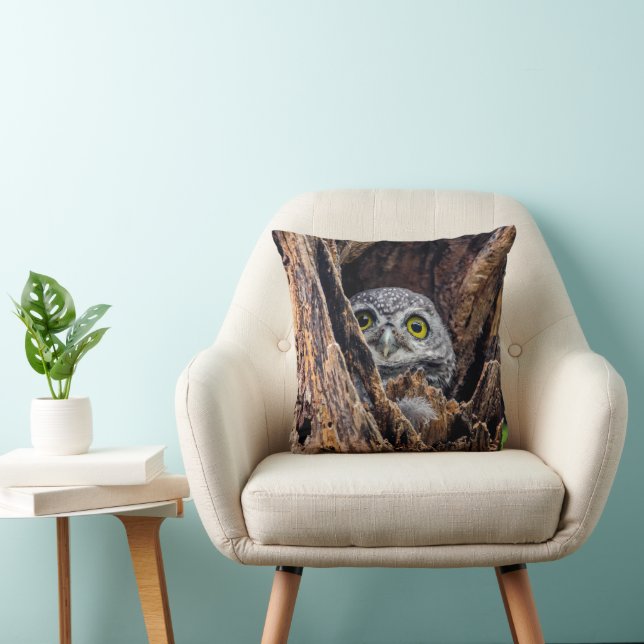 Cutest Baby Animals | Spotted Owlet Cushion (Chair)