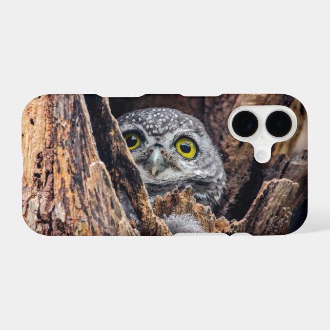Cutest Baby Animals | Spotted Owlet iPhone Case (Back Horizontal)