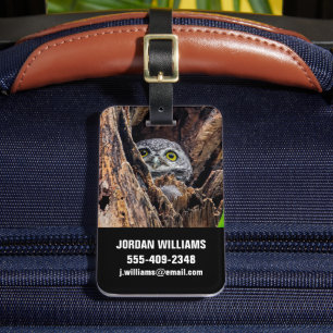Cutest Baby Animals   Spotted Owlet Luggage Tag