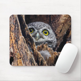 Cutest Baby Animals   Spotted Owlet Mouse Pad