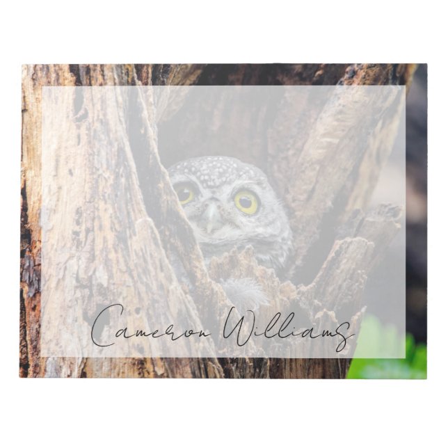Cutest Baby Animals | Spotted Owlet Notepad (Front)