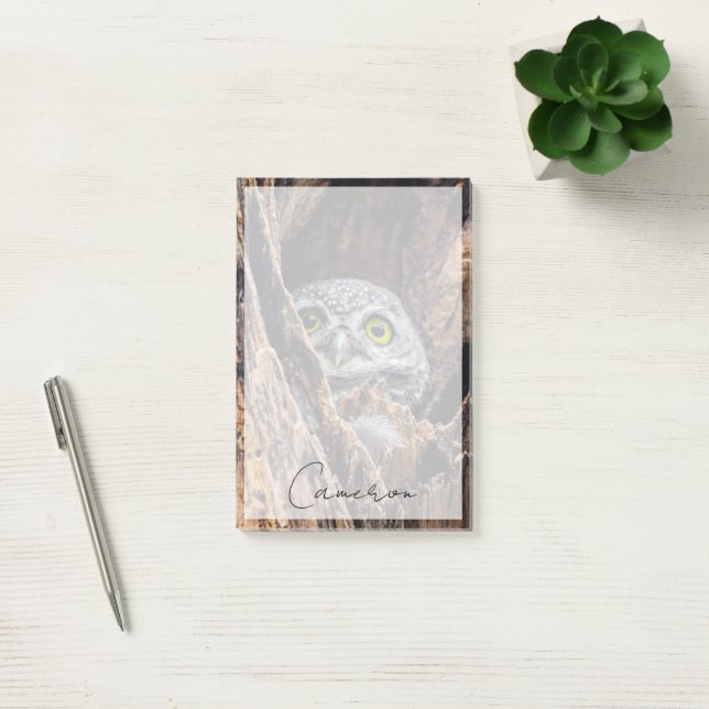 Cutest Baby Animals | Spotted Owlet Post-it Notes (Office)