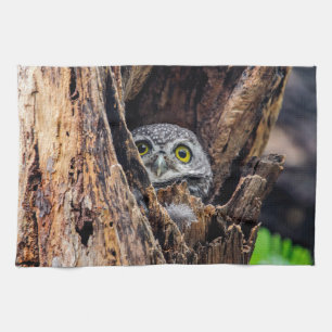 Cutest Baby Animals Spotted Owlet Tea Towel