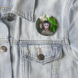 Cutest Baby Animals   Surprised Snow Monkey 6 Cm Round Badge
