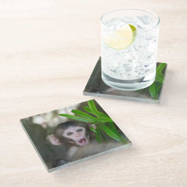 Cutest Baby Animals | Surprised Snow Monkey Glass Coaster (Angled)