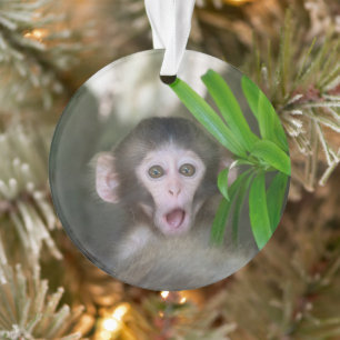 Cutest Baby Animals Surprised Snow Monkey Ornament