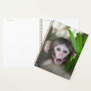 Cutest Baby Animals Surprised Snow Monkey Planner
