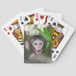 Cutest Baby Animals   Surprised Snow Monkey Playing Cards