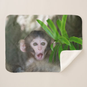 Cutest Baby Animals   Surprised Snow Monkey Sherpa Blanket