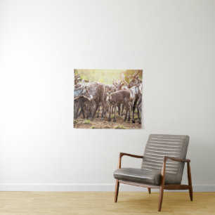 Cutest Baby Animals Svalbard Reindeer Tapestry
