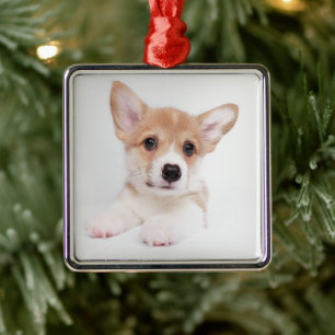 Cutest Baby Animals Sweet Baby Corgi Metal Tree Decoration