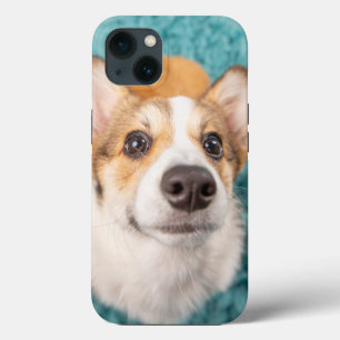 Cutest Baby Animals   Sweet Corgi Puppy Face iPhone 13 Case