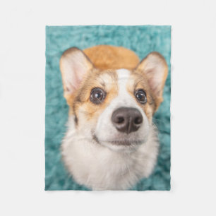 Cutest Baby Animals Sweet Corgi Puppy Face Fleece Blanket