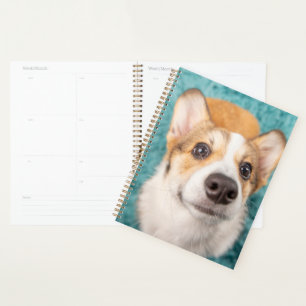 Cutest Baby Animals   Sweet Corgi Puppy Face Planner