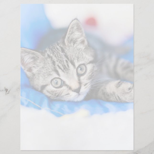 Cutest Baby Animals | Tabby Kitten in Play Tunnel (Front)
