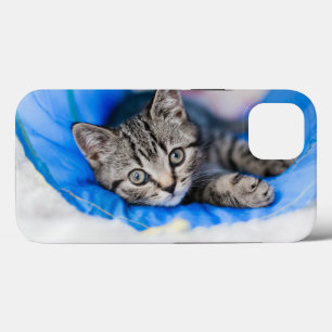 Cutest Baby Animals   Tabby Kitten in Play Tunnel iPhone 13 Case