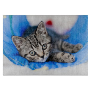 Cutest Baby Animals   Tabby Kitten in Play Tunnel Cutting Board