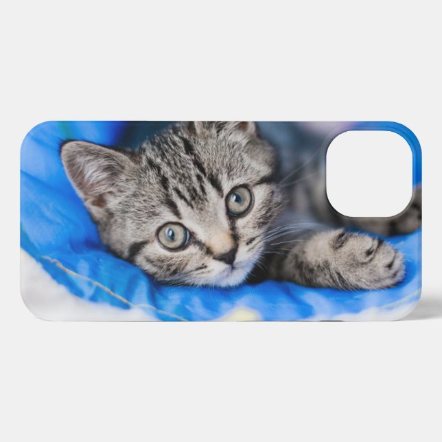 Cutest Baby Animals | Tabby Kitten in Play Tunnel iPhone Case (Back Horizontal)