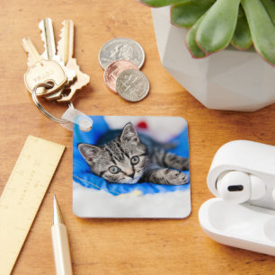 Cutest Baby Animals   Tabby Kitten in Play Tunnel Key Ring