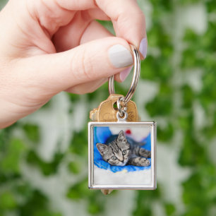 Cutest Baby Animals Tabby Kitten in Play Tunnel Key Ring