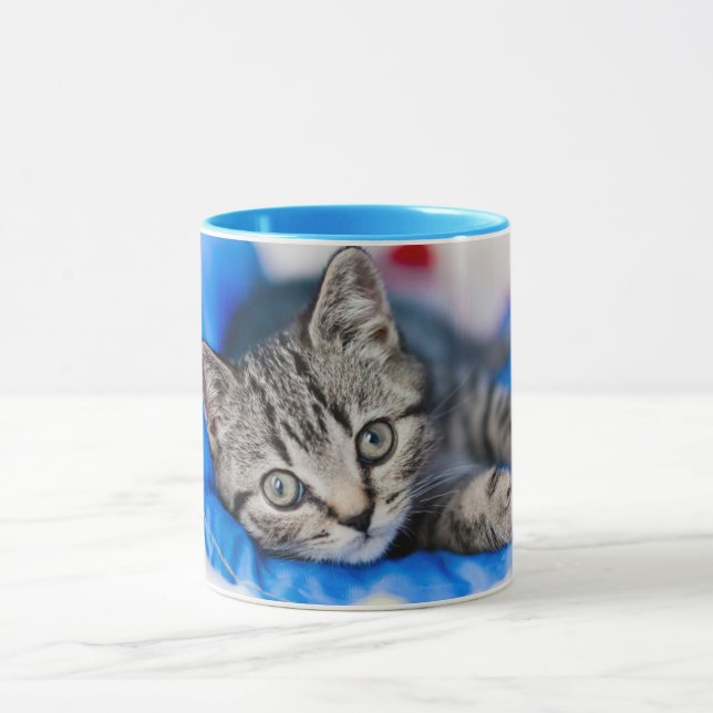 Cutest Baby Animals | Tabby Kitten in Play Tunnel Mug (Center)