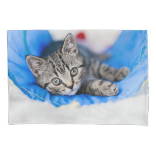 Cutest Baby Animals   Tabby Kitten in Play Tunnel Pillowcase
