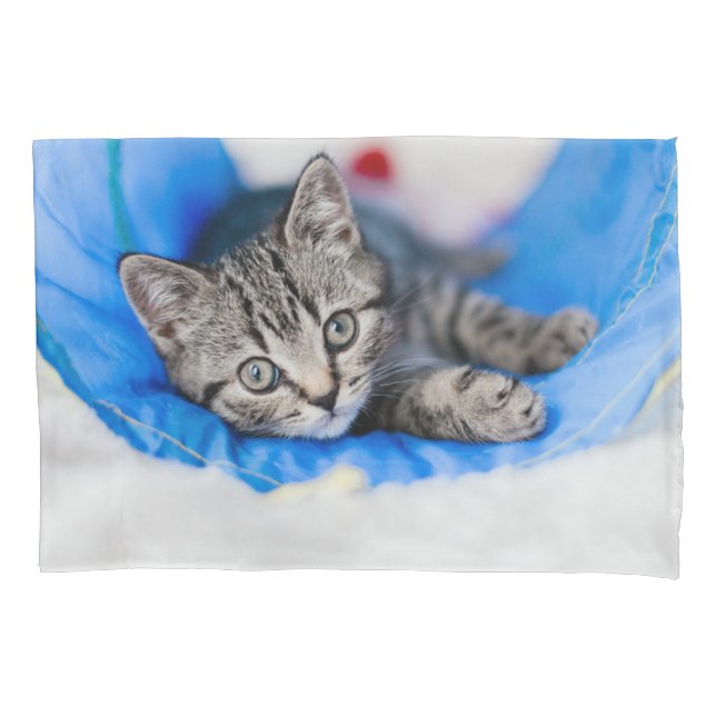 Cutest Baby Animals | Tabby Kitten in Play Tunnel Pillowcase (Front)