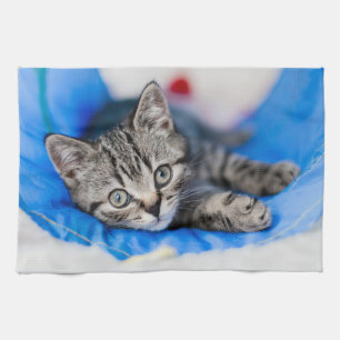 Cutest Baby Animals   Tabby Kitten in Play Tunnel Tea Towel