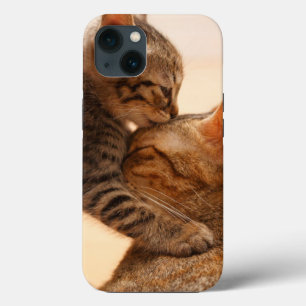 Cutest Baby Animals   Tabby Kitten Kiss iPhone 13 Case