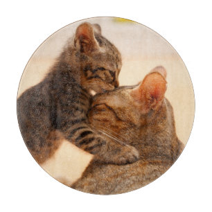 Cutest Baby Animals Tabby Kitten Kiss Cutting Board